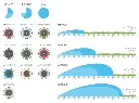 MP-Rotator-line-8-35-pic.webp