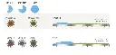 hunter-mprotator-800-series-nozzles_1337x645.webp