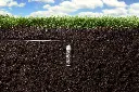 soil_clik-014_rt.webp