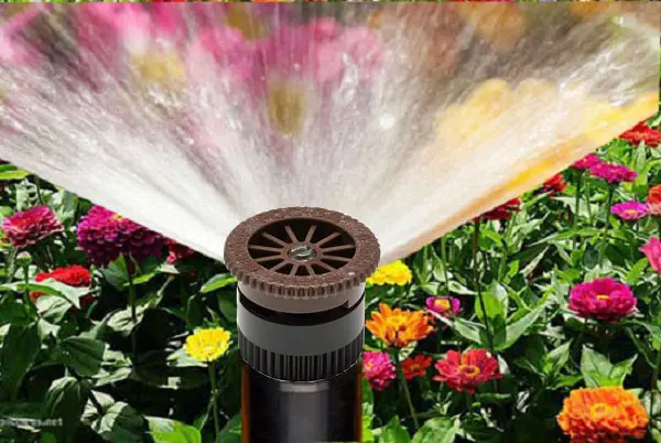 Bec-tuoi-spray-nozzle-8A...webp
