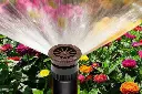 Bec-tuoi-spray-nozzle-8A...webp